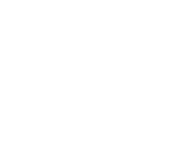 ichien Inc.